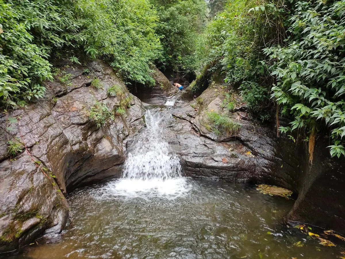 Villoonnickal Homestay Munnar India