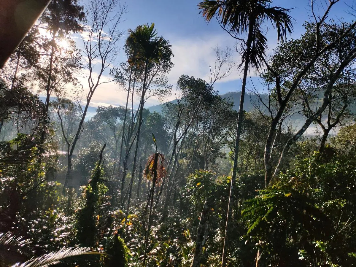 Villoonnickal Homestay Munnar